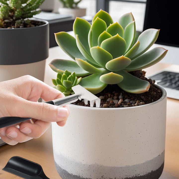 Succulent tools kit: 12 pieces for pruning, repotting, and terrarium gardening