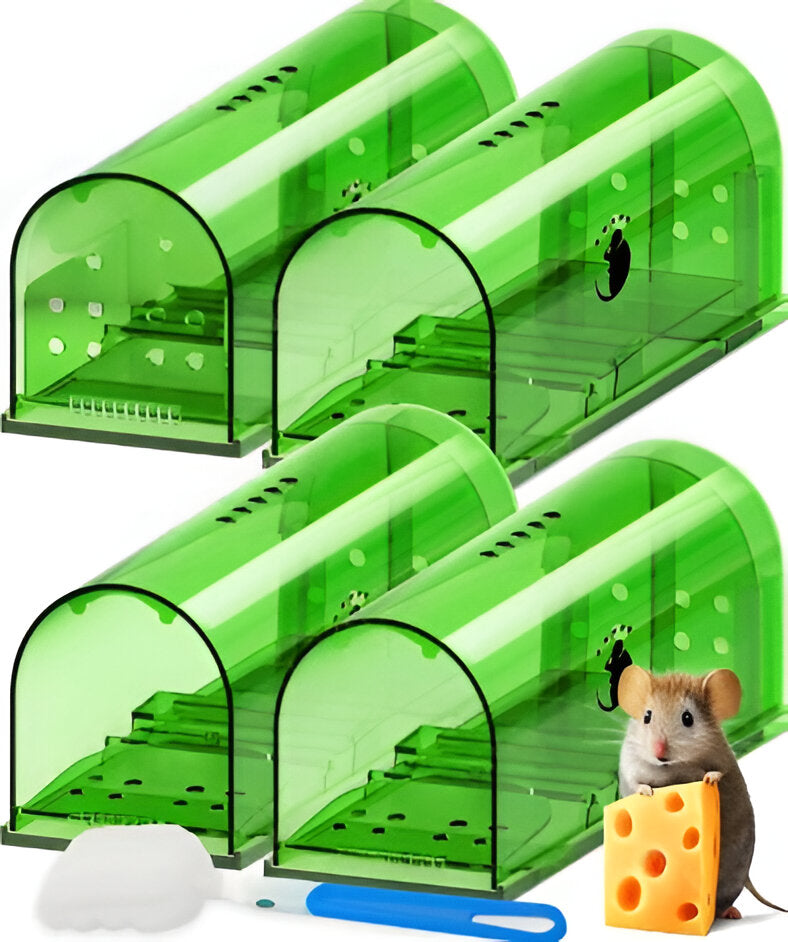 4-pack humane live catch mouse traps for no-kill rodent control. Safe & reusable pest solution for home.