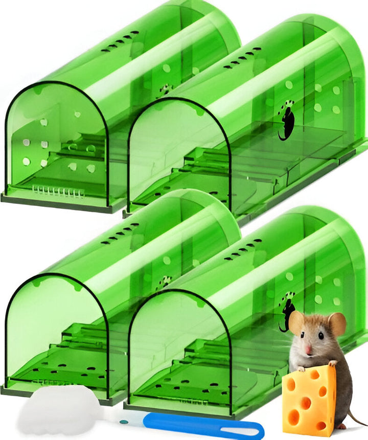4-pack humane live catch mouse traps for no-kill rodent control. Safe & reusable pest solution for home.