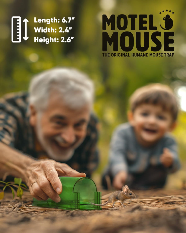 Indoor/outdoor 4-pack humane live catch mouse traps. Reusable, no-kill rodent control for a pest-free environment.