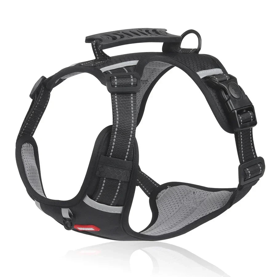 ActivePup robust dog harness, perfect for active dogs & outdoor adventures, ensures safety.