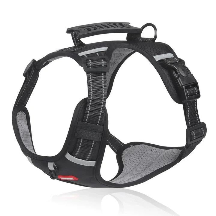 ActivePup robust dog harness, perfect for active dogs & outdoor adventures, ensures safety.