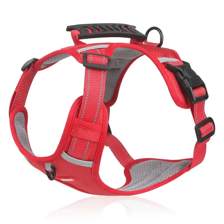 Adjustable ActivePup dog harness for a perfect, comfortable fit; durable pet safety gear for walks.