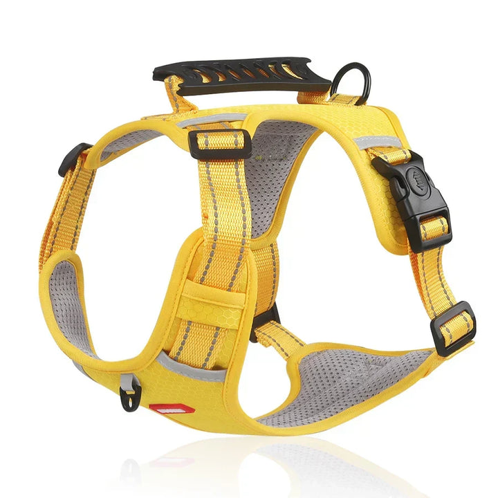 Durable, comfortable ActivePup dog harness for daily walks, designed for safety & active pets.