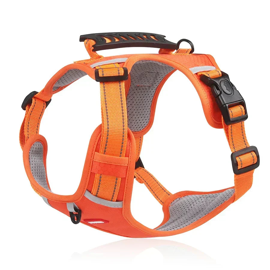 Easy-to-use ActivePup dog harness for ultimate pet comfort & safety during walks and training.