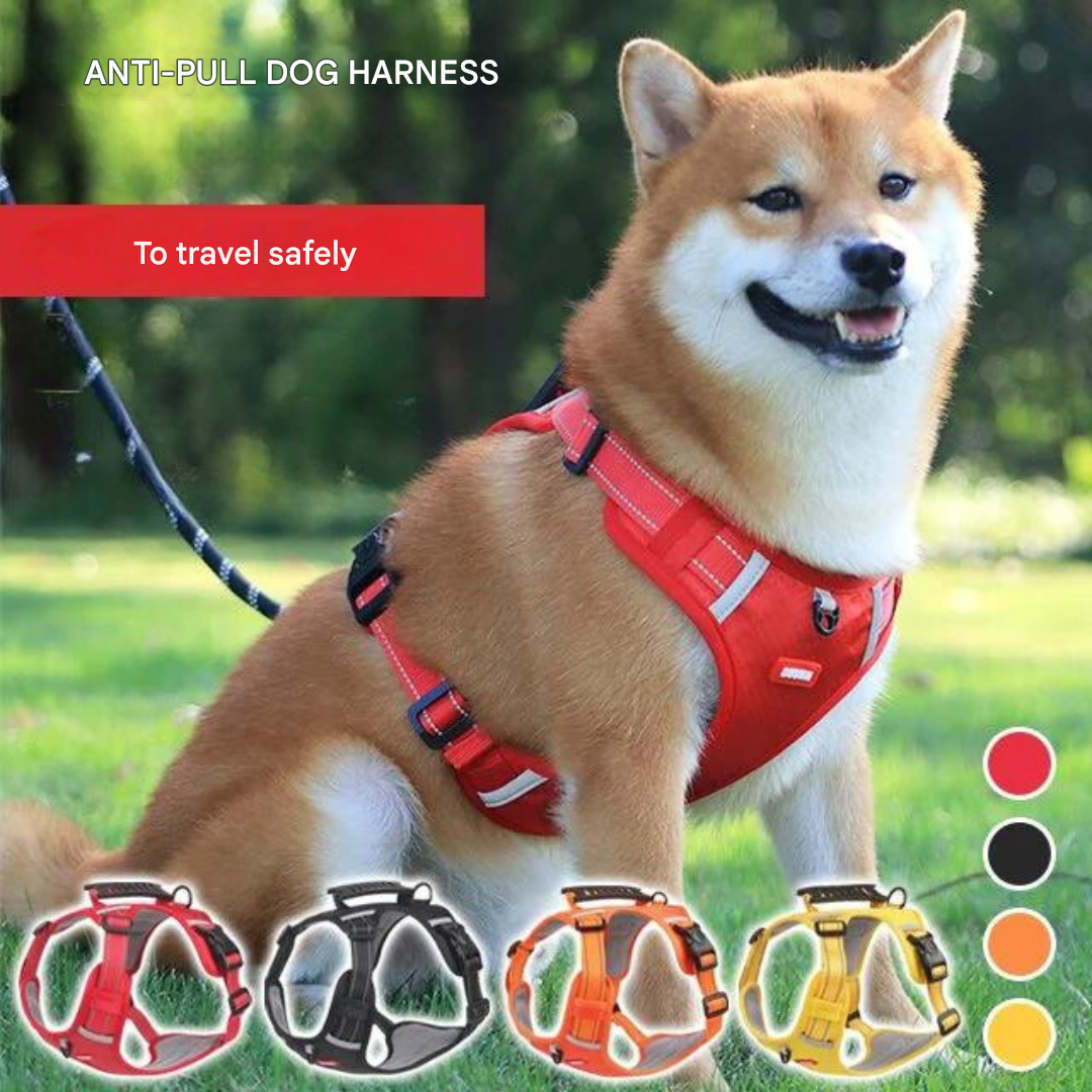 ActivePup unisex dog harness offers comfort, safety & durability for enjoyable walks with your active dog.