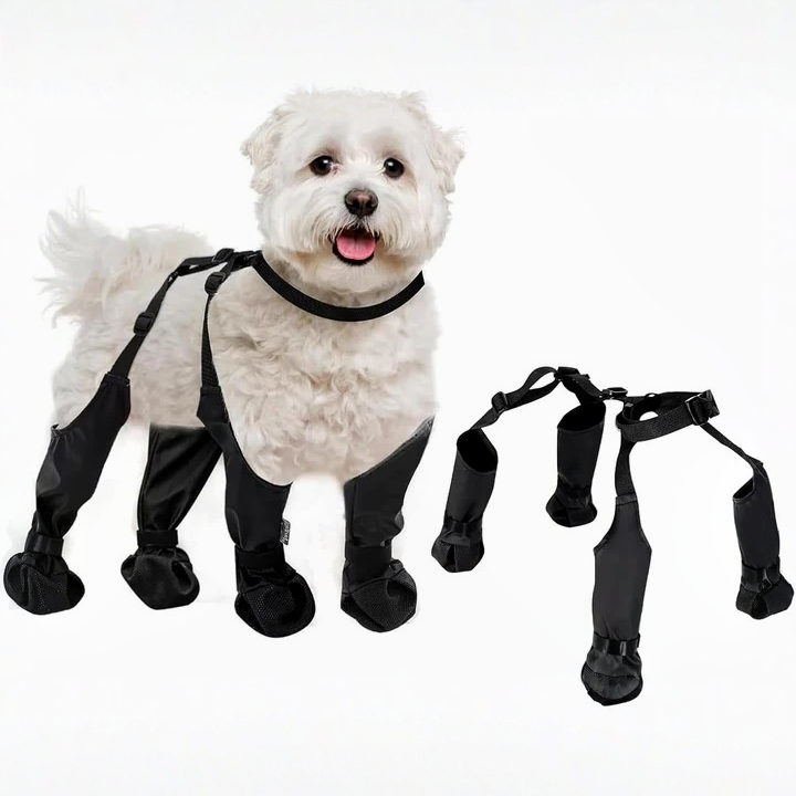 Adjustable anti-slip dog boots providing all-weather paw protection for small to medium dogs; comfortable outdoor gear.