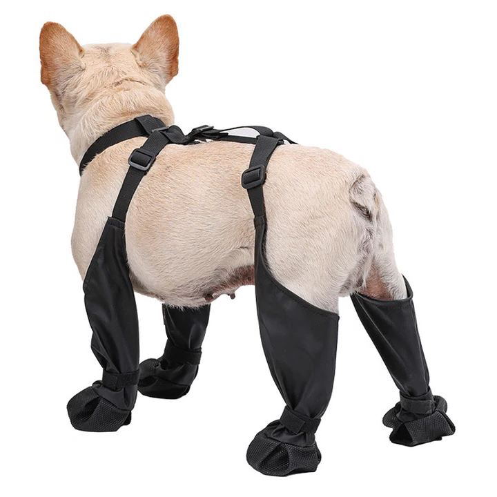 Anti-slip dog boots for superior paw protection during outdoor adventures. Easy clean, weather-resistant pet shoes.