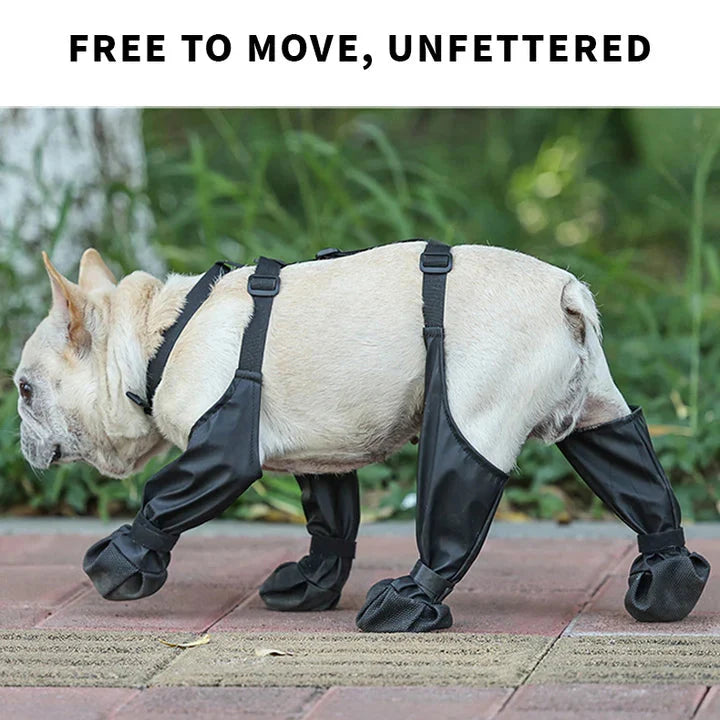 Durable, weather-resistant dog boots offering paw protection for all outdoor conditions. Adjustable pet shoes for comfort.