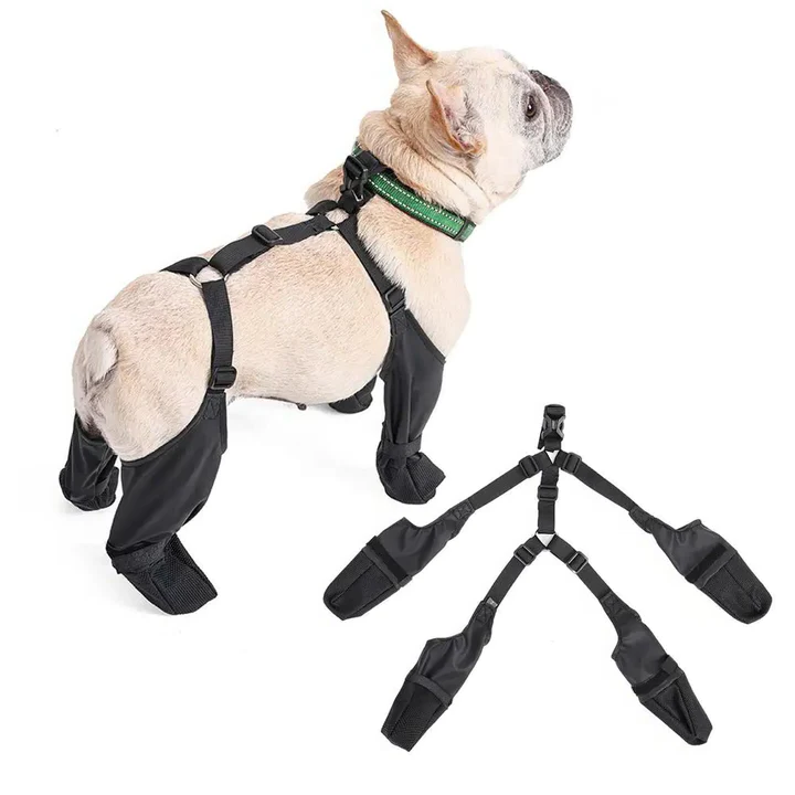 Small to medium dog boots with adjustable straps, anti-slip soles for all-weather paw protection & outdoor comfort.