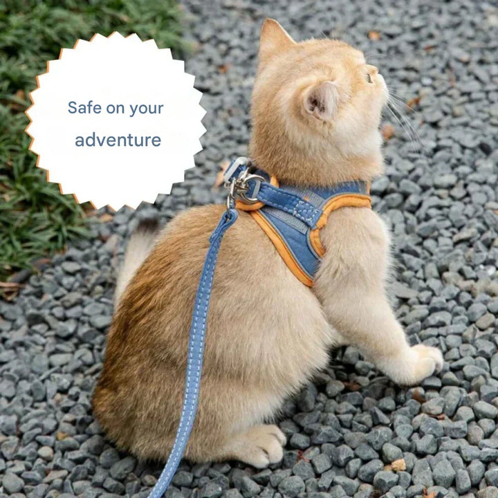 Durable and adjustable cat harness with a strong leash for secure walks. Escape-proof design, essential for pet supplies.