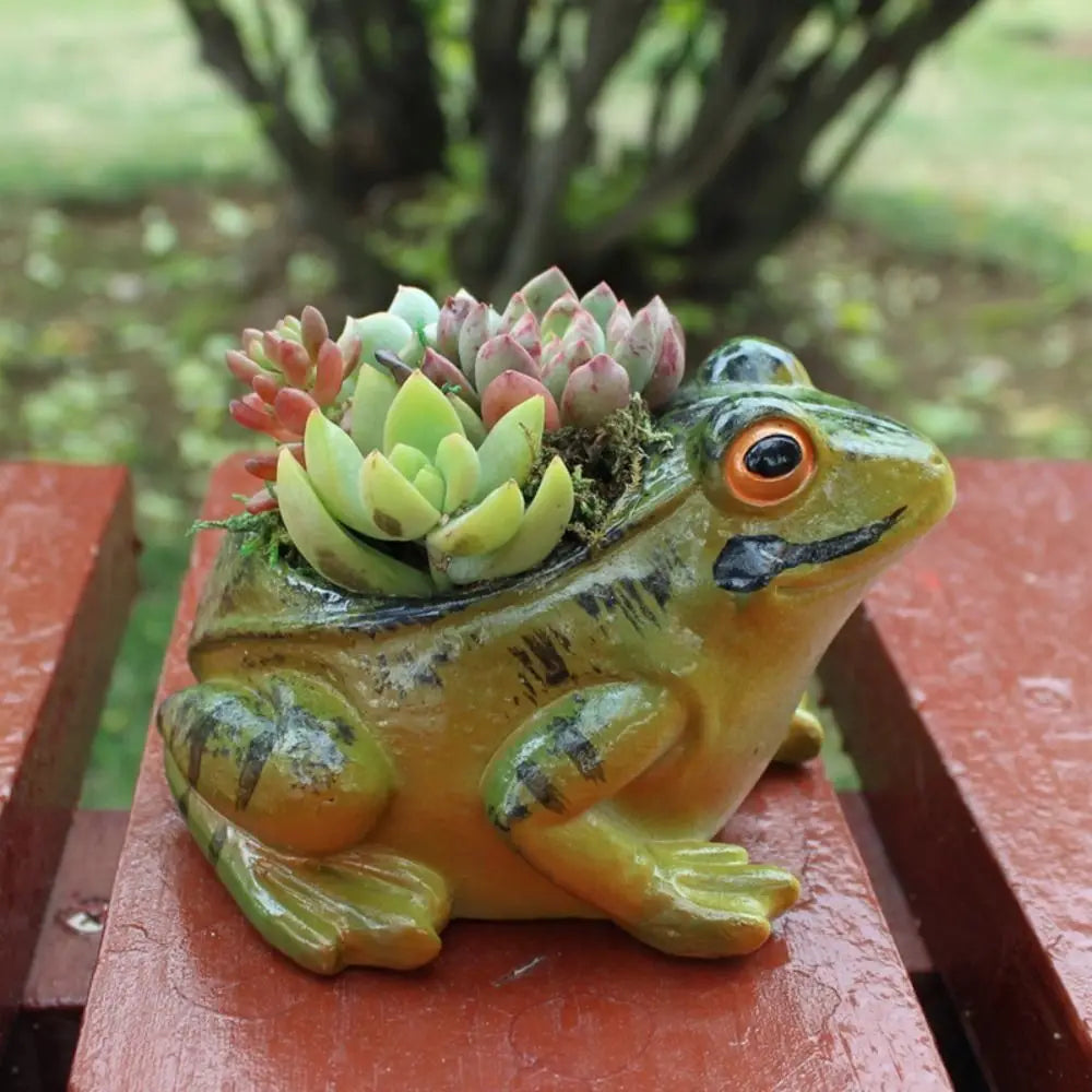 Adorable froggy ceramic plant pot, perfect for succulents & small indoor plants, adds whimsical decor.