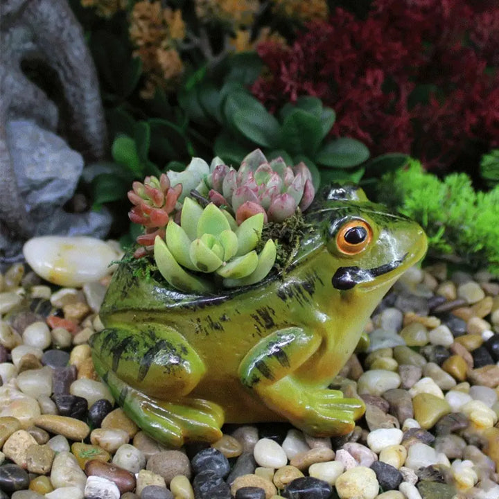 Whimsical frog ceramic plant pot for garden or home decor. Cute succulent planter, perfect for indoor gardens.