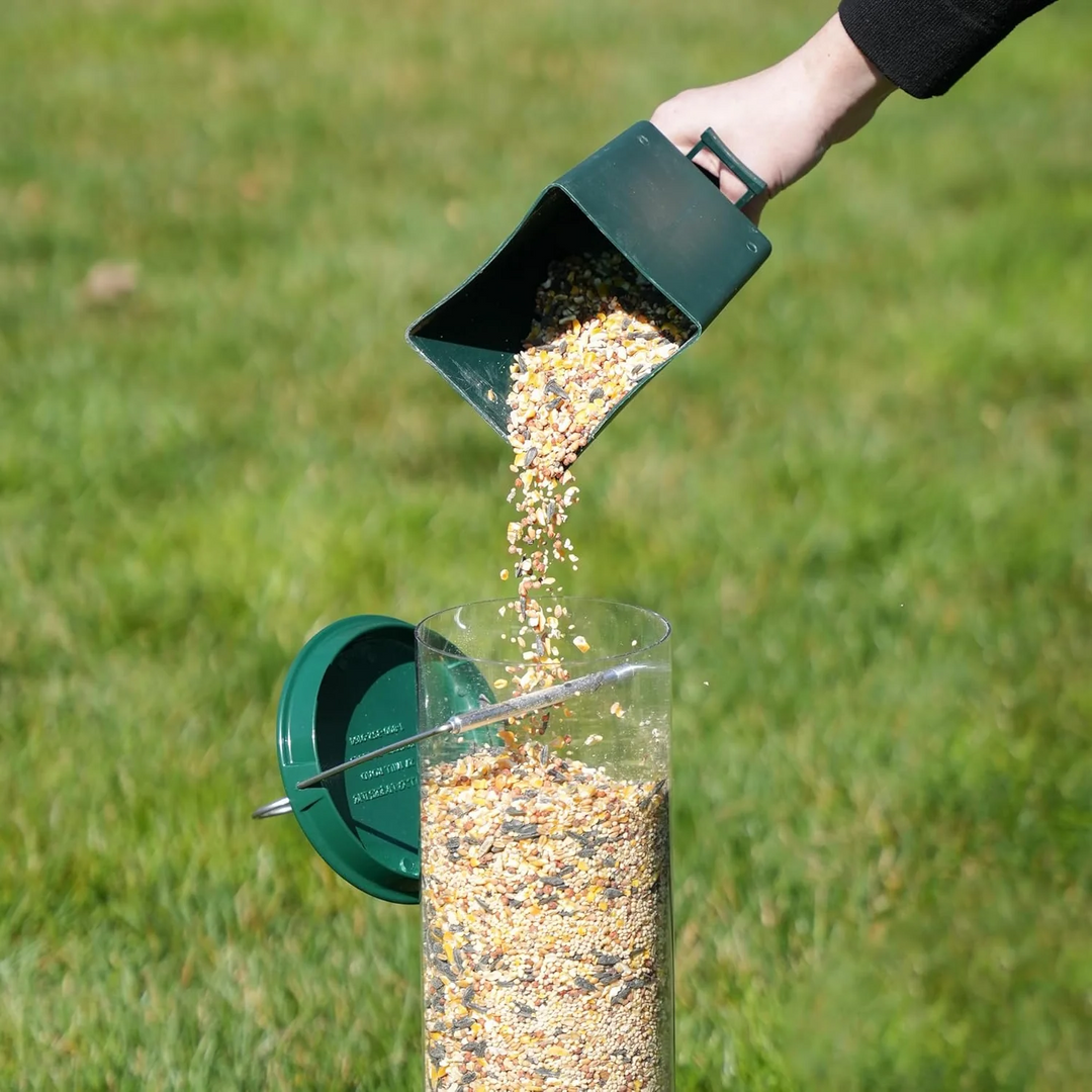 Squirrel-proof bird feeder in a vibrant garden, attracting wild birds. Ideal outdoor accessory for nature lovers.