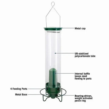 Advanced squirrel-proof bird feeder placed outdoors, inviting wild birds and promoting backyard wildlife viewing.