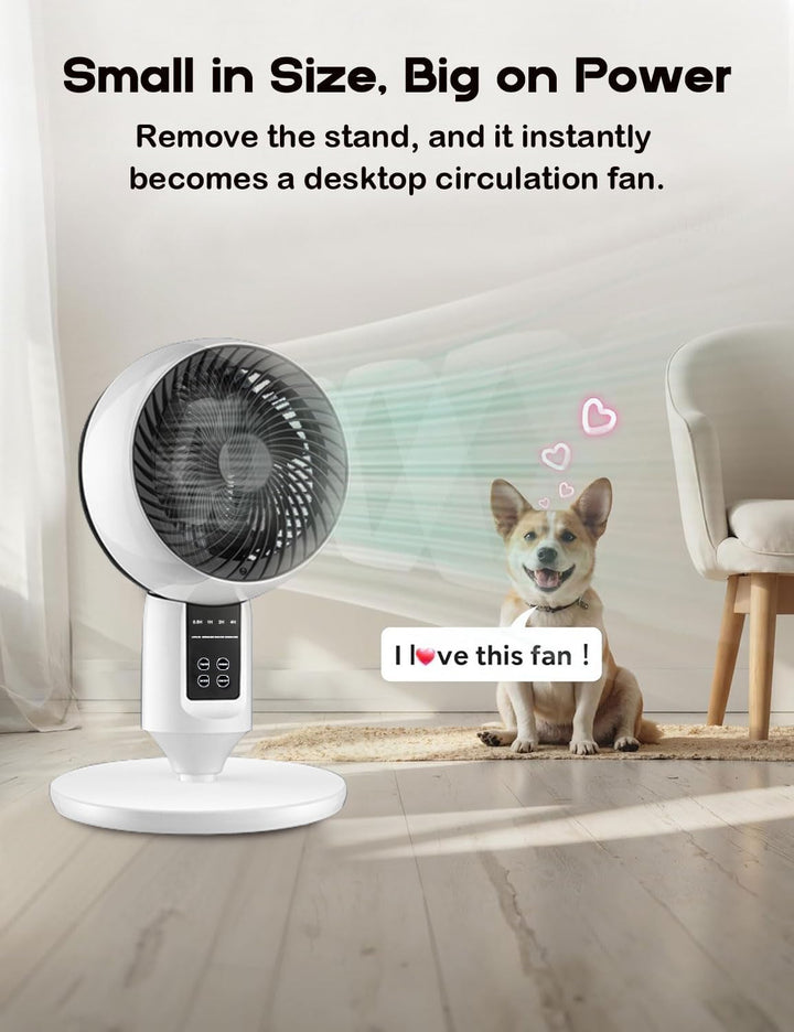 Compact Aerion fan at its lowest setting, perfect for discreet, quiet 3D oscillating cooling.