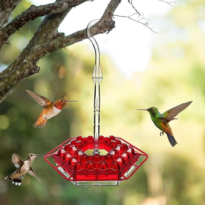 Ant-proof outdoor hanging hummingbird feeder with perch, ideal for attracting backyard birds.