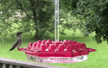 High-quality ant-proof outdoor hanging hummingbird feeder, polycarbonate, for easy backyard bird feeding.