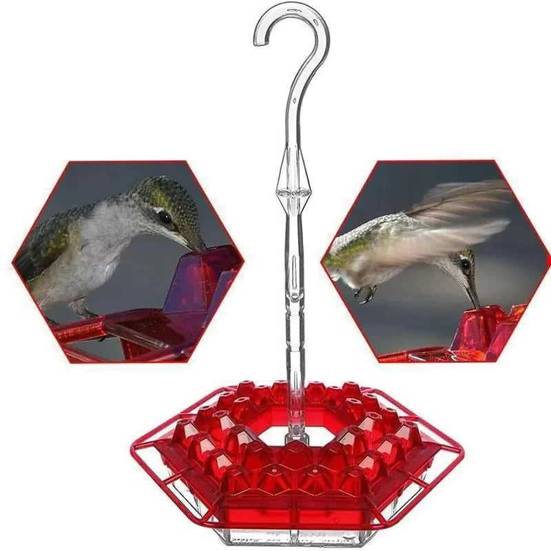 Innovative ant-proof outdoor hummingbird feeder ensures pest-free nectar for happy garden birds.
