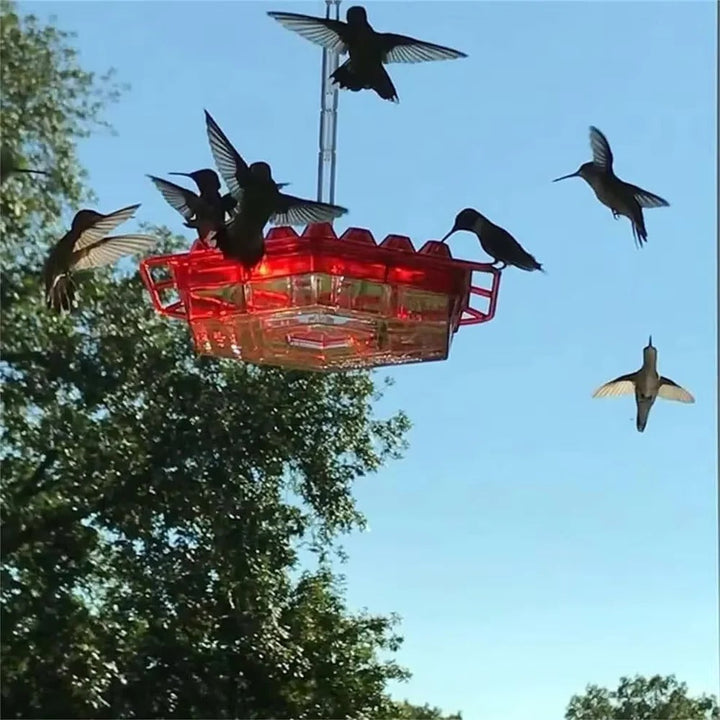 Decorative ant-proof hummingbird feeder, ideal for outdoor hanging, enhances garden and backyard appeal.