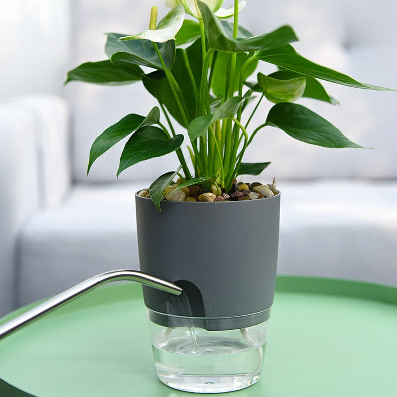 AquaBloom self-watering plant pot, perfect for healthy indoor and outdoor plants with low maintenance.