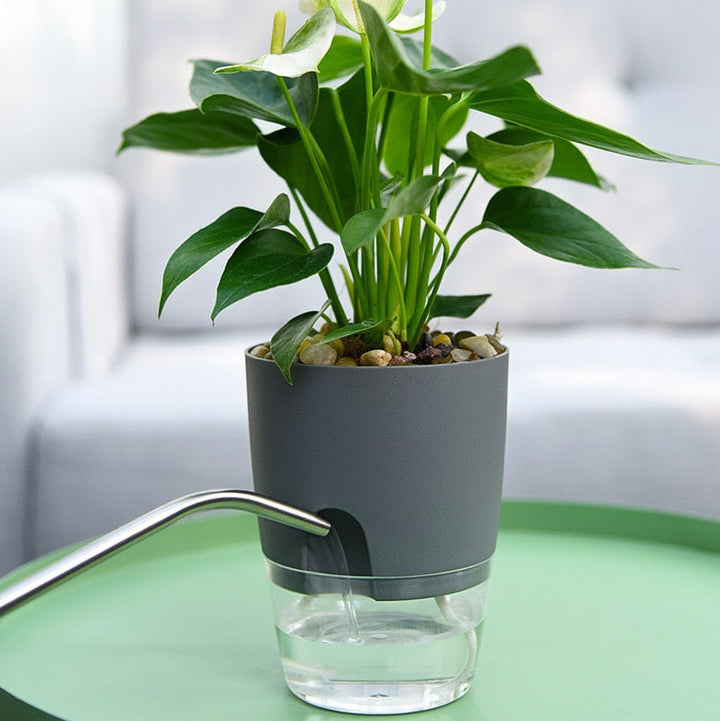 AquaBloom self-watering plant pot, perfect for healthy indoor and outdoor plants with low maintenance.