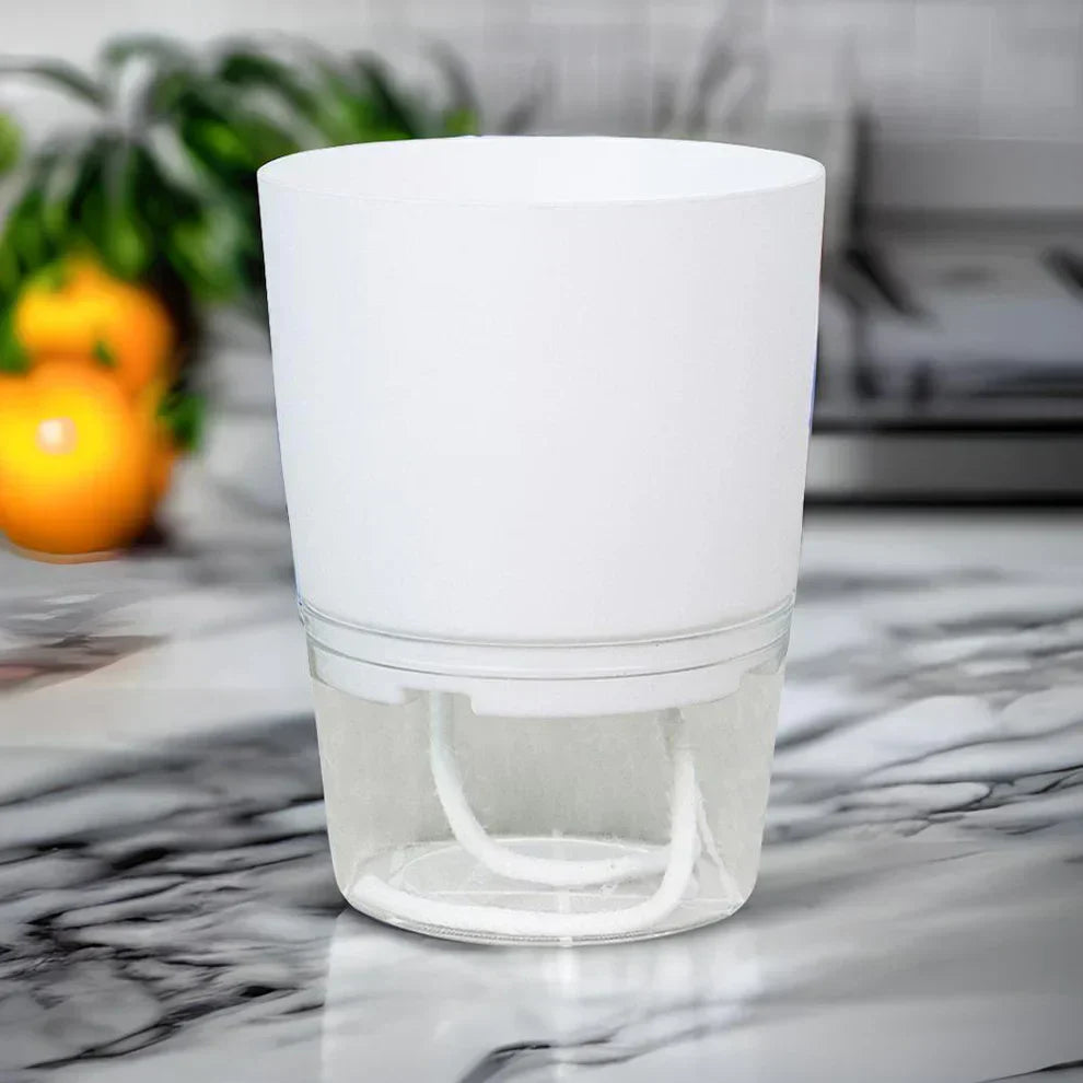 Efficient self-watering flower pot ensuring automatic hydration for vibrant indoor and outdoor gardens.