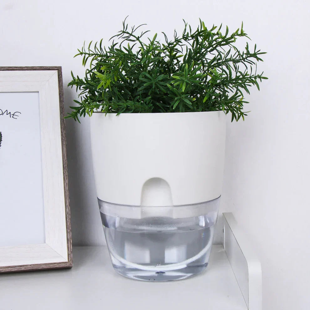 Stylish AquaBloom plant pot designed for busy plant lovers, keeping plants hydrated effortlessly.