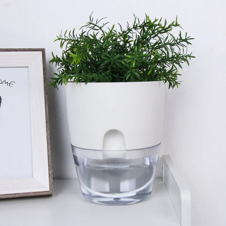 Stylish AquaBloom plant pot designed for busy plant lovers, keeping plants hydrated effortlessly.