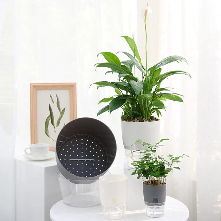 Durable self-watering planter, excellent for cultivating healthy indoor plants and beautiful outdoor displays.