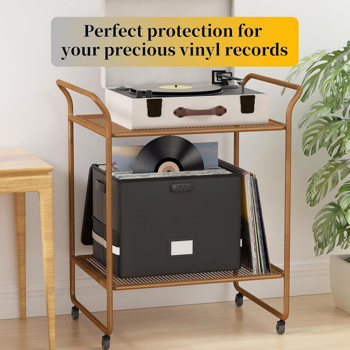Durable Arcion fireproof waterproof record storage case protecting a vinyl collection.