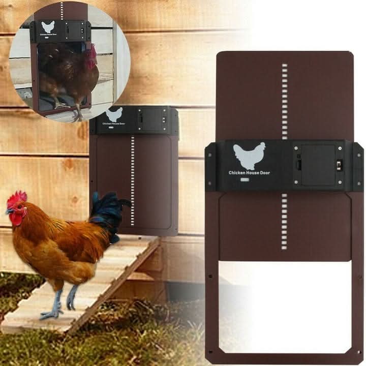 Close-up of daylight sensor on automatic chicken coop door, ensuring timely opening/closing for poultry care.