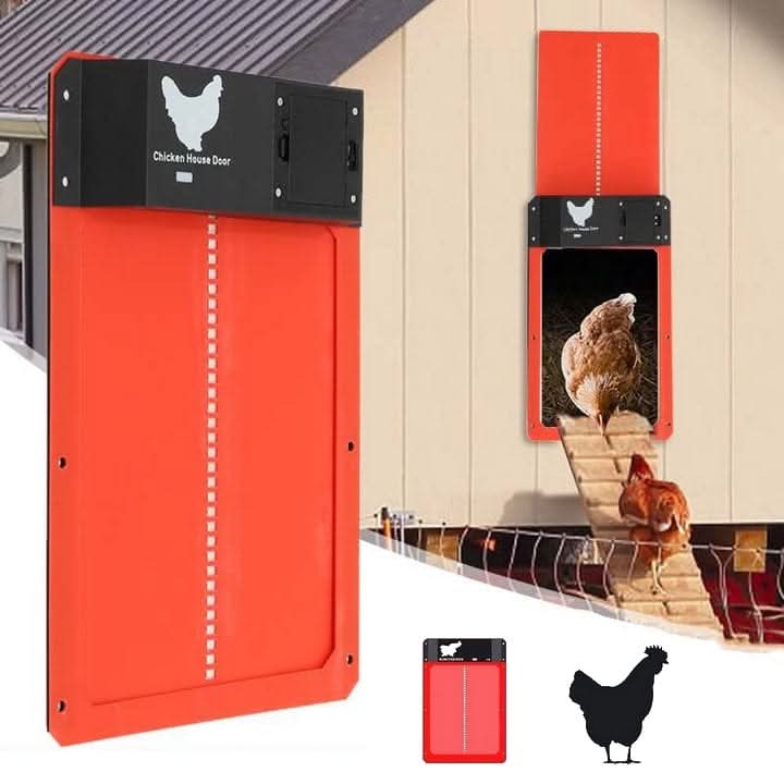 Automatic chicken coop door installed on a wooden coop. Weatherproof design offers predator protection & easy outdoor living.
