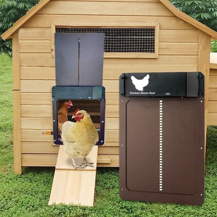 Automatic chicken coop door closed at dusk, providing secure predator protection for farm animals. Daylight sensor active.