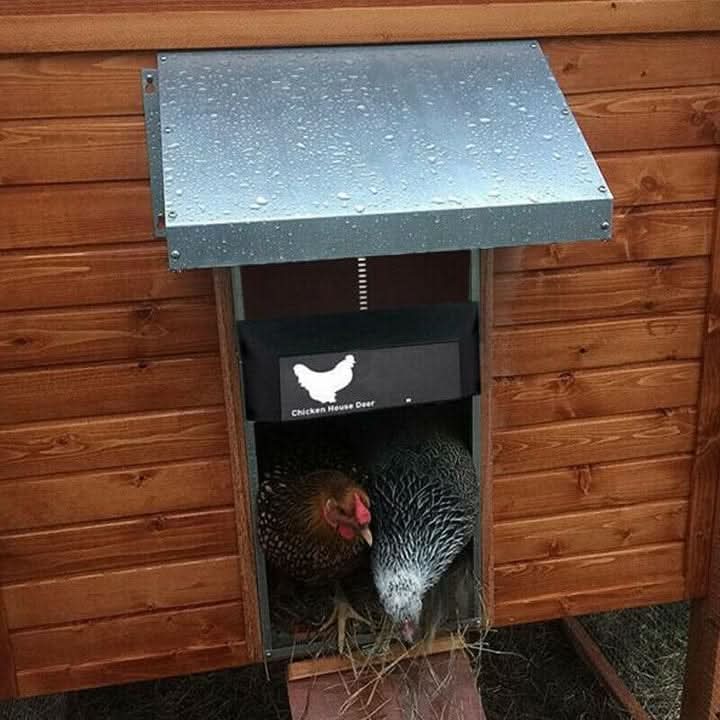 Durable, weatherproof automatic chicken coop door protects poultry from predators. Ideal farm equipment for outdoor living.