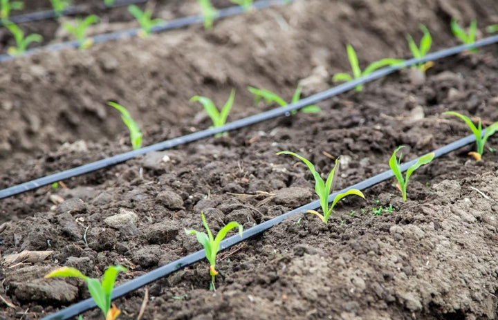 Easy-to-install automatic garden irrigation system ensuring consistent plant hydration & growth.