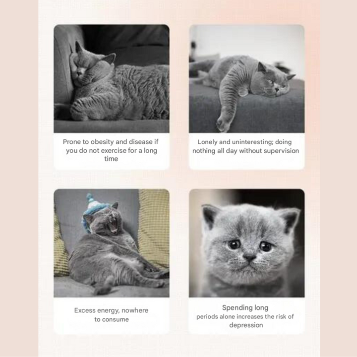 Interactive laser cat toy: automatic pet exercise machine for enrichment & stimulating playtime.