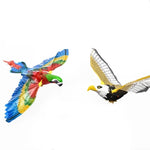 Parrot + Eagle
