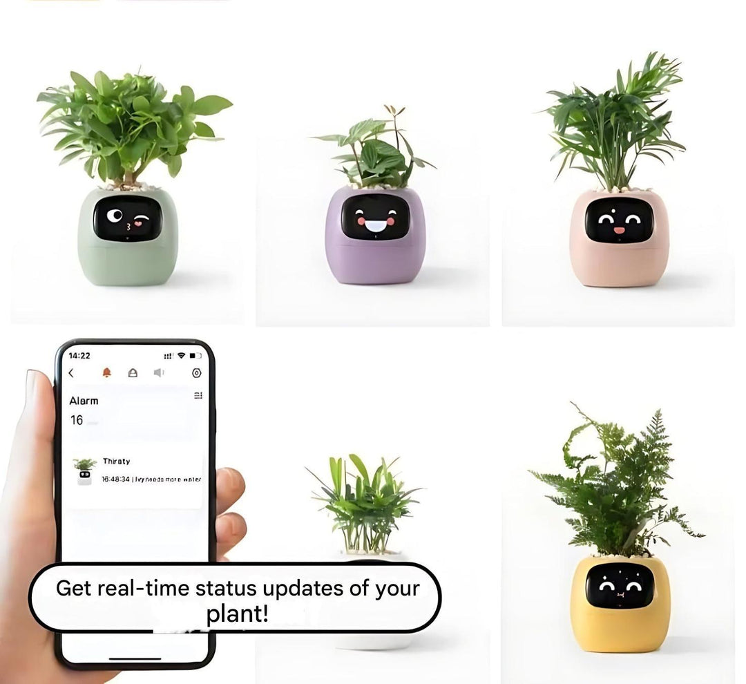 Automatic self-watering Smart Plant Pot in pink, a stylish & easy-care flowerpot for your modern indoor garden.
