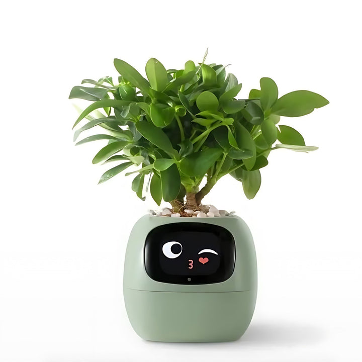 Modern Smart Plant Pot with App-Controlled Self-Watering System, ideal for automated plant care & home decor.