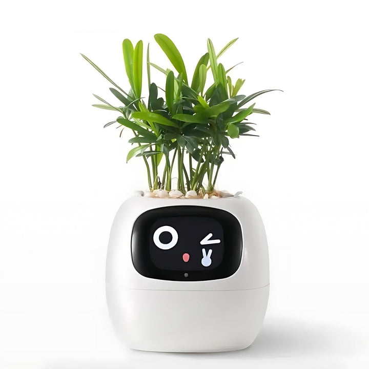 Green Smart Plant Pot, an automatic self-watering flowerpot for easy indoor garden plant care & modern decor.
