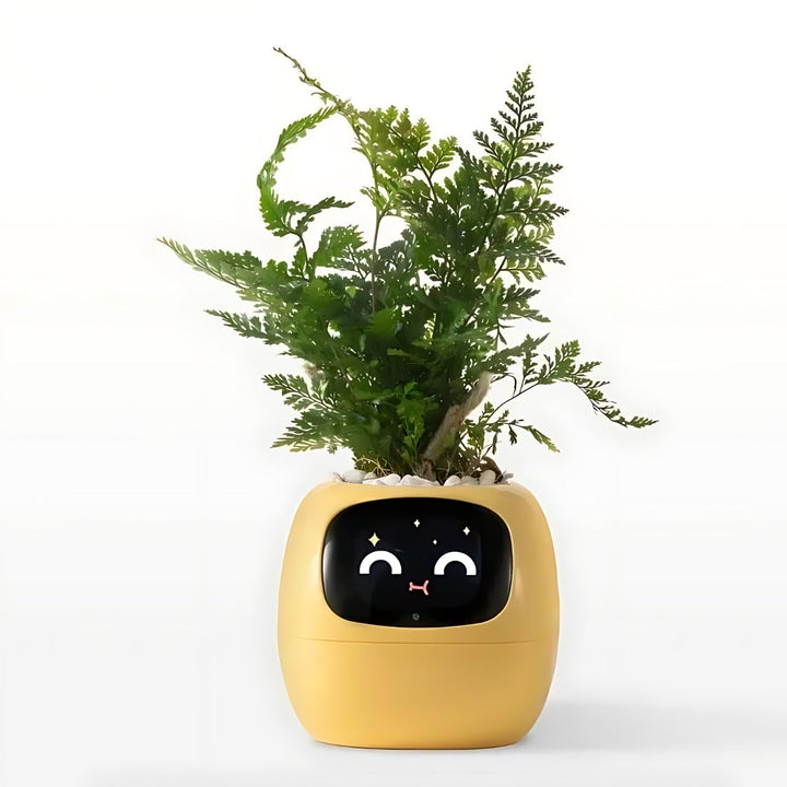 Stylish Smart Plant Pot, an automatic self-watering flowerpot enhancing home decor with effortless plant care.