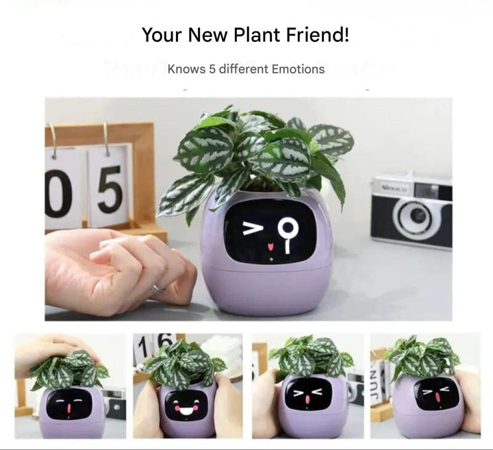 Smart self-watering flowerpot for automatic plant care. Modern planter ideal for any indoor garden & home.