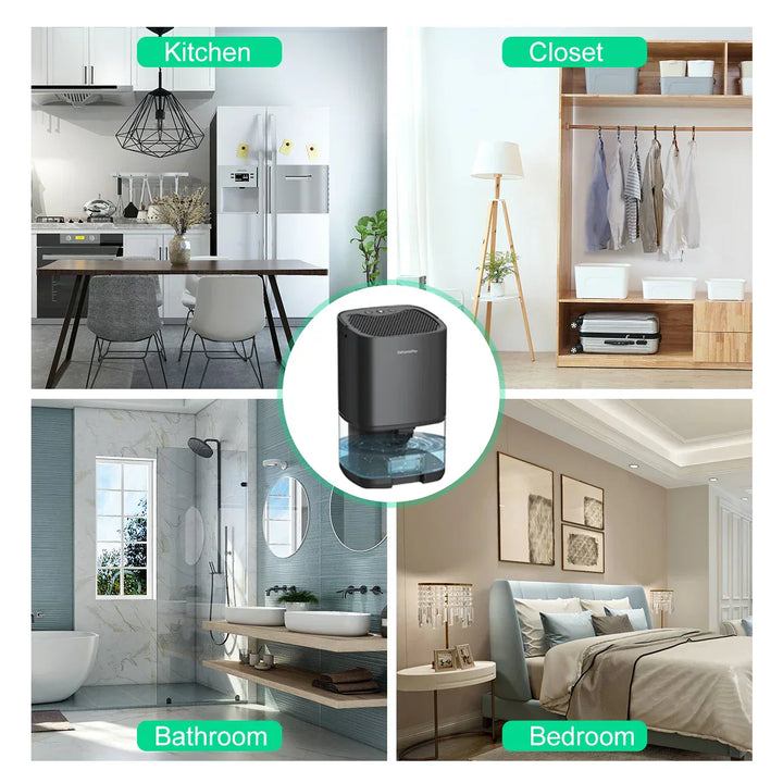 Aveline portable dehumidifier combating humidity, with its water tank visible, for effective moisture control.