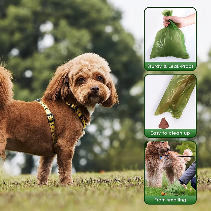 Earth-friendly biodegradable dog waste bags, compostable & leak-proof, promoting sustainable pet ownership.