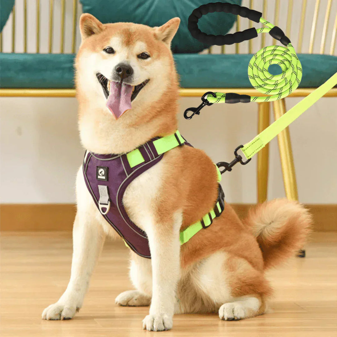 Adjustable anti-pull dog harness with soft comfort padding ensures a secure, custom fit for your dog.