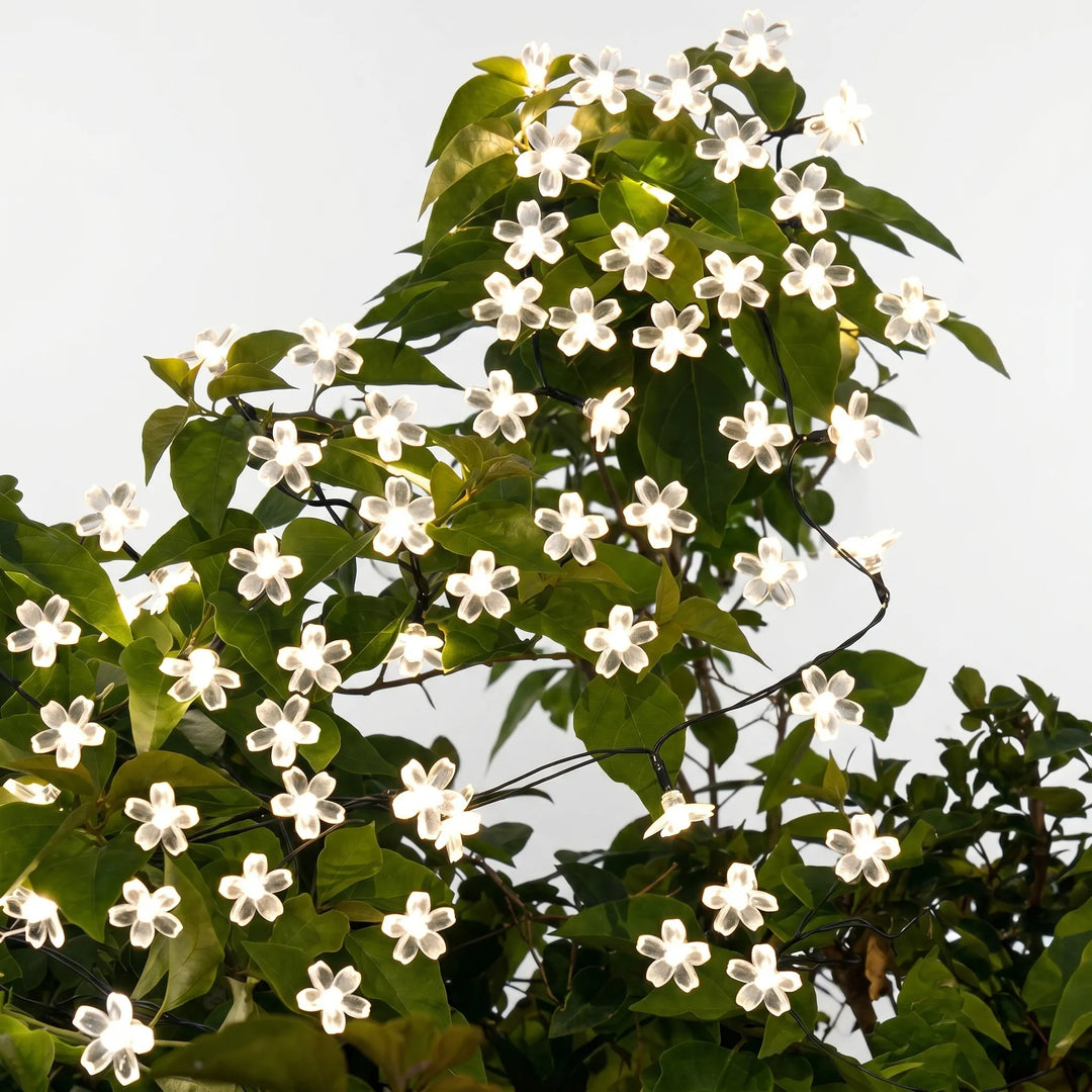 Delicate cherry blossom solar string lights draped across a patio, creating warm ambiance. Ideal garden decor.