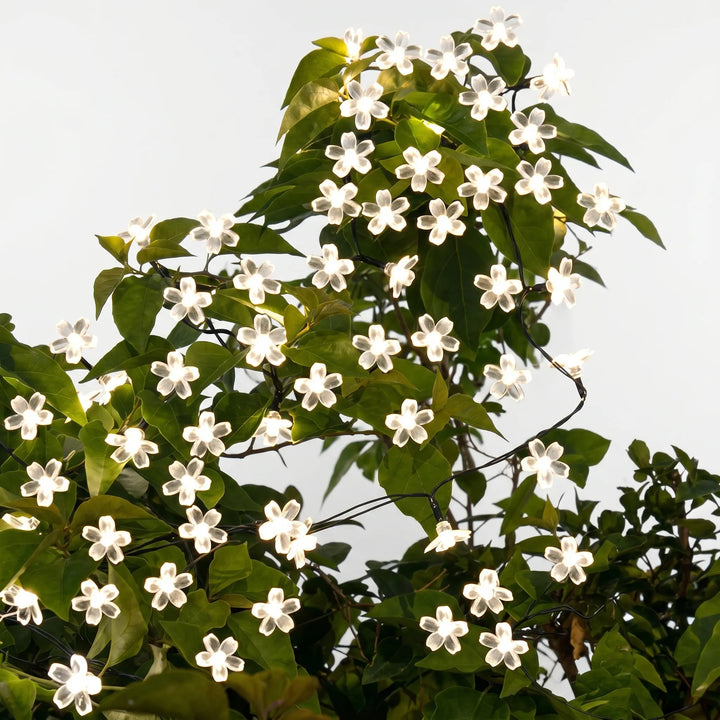 Delicate cherry blossom solar string lights draped across a patio, creating warm ambiance. Ideal garden decor.