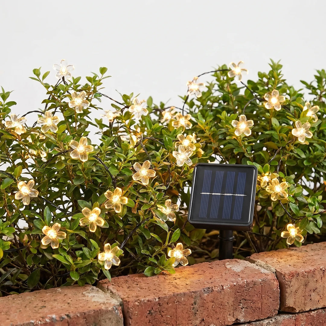 Close-up of glowing LED cherry blossom on solar outdoor string lights, perfect for decorative yard lighting.