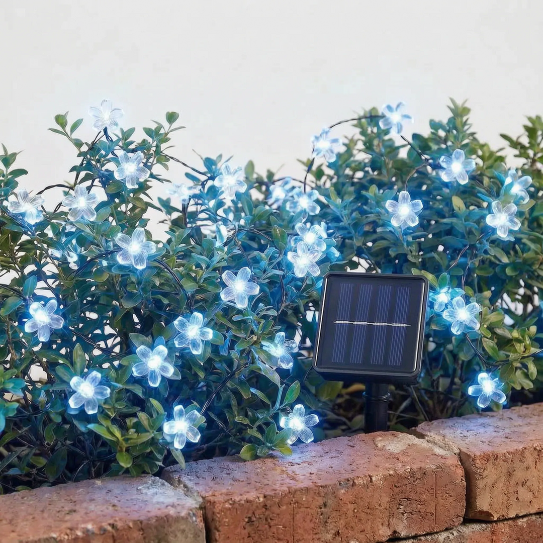 Energy-efficient solar flower string lights for outdoor garden decor. Waterproof LED patio & yard ambiance.